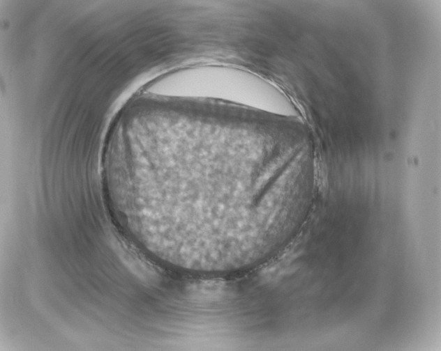 X0000085260196200704092123