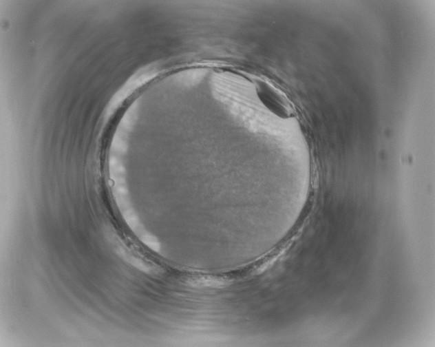 X0000085260198200704092123