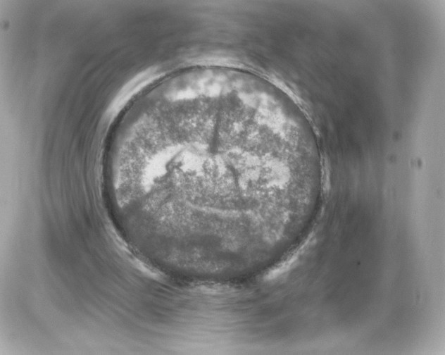 X0000085260199200704092123