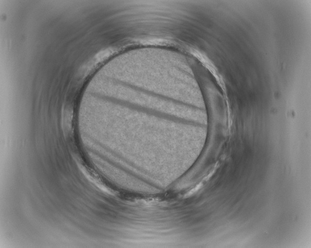 X0000085260201200704092123