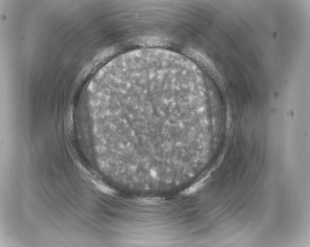 X0000085260202200704092123