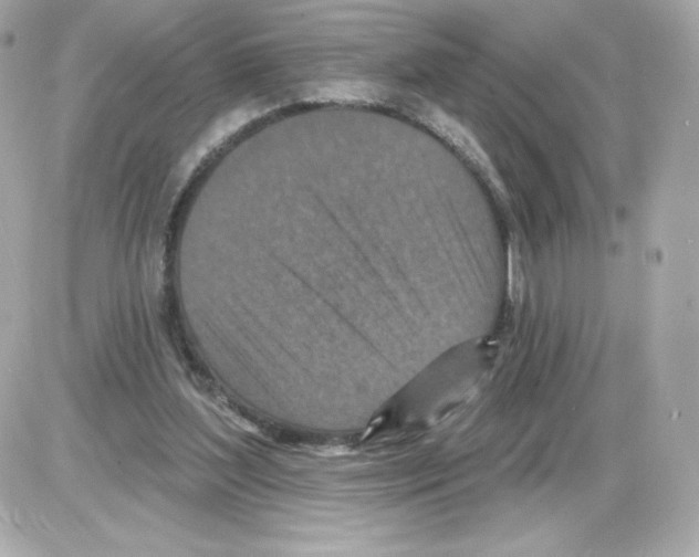 X0000085260204200704092123