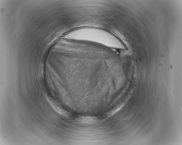 X0000085260205200704092123