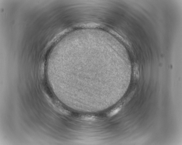 X0000085260206200704092123