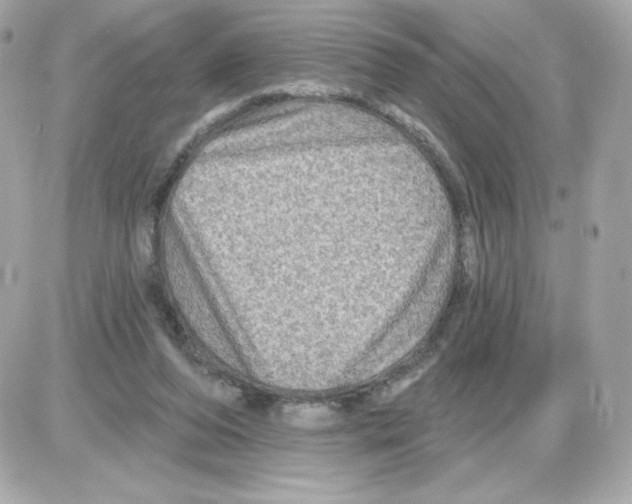 X0000085260208200704092123