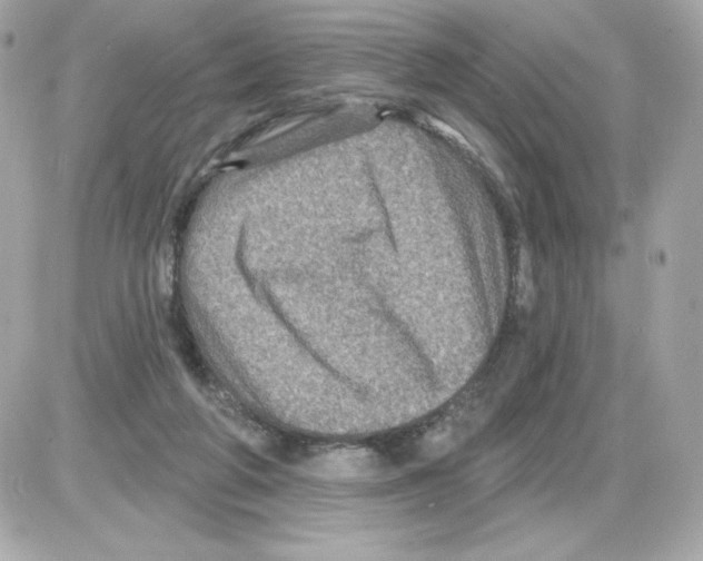 X0000085260210200704092123