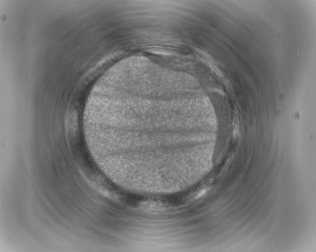 X0000085260211200704092123