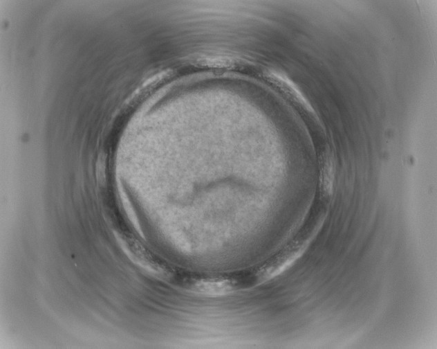 X0000085260213200704092123