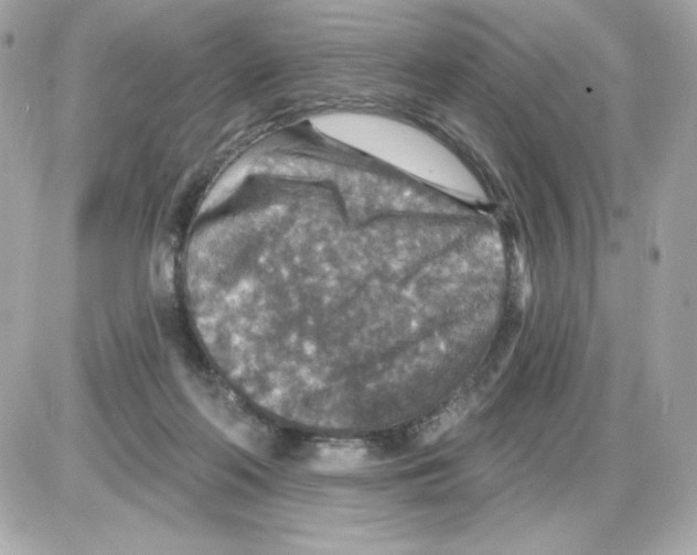 X0000085260214200704092123