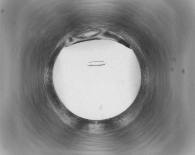 X0000085260216200704092123