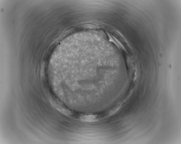 X0000085260217200704092123