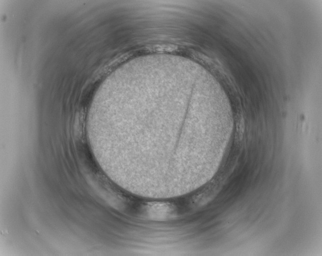 X0000085260218200704092123