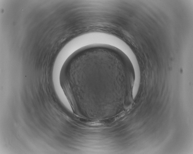 X0000085260219200704092123