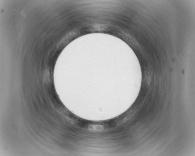 X0000085260220200704092123