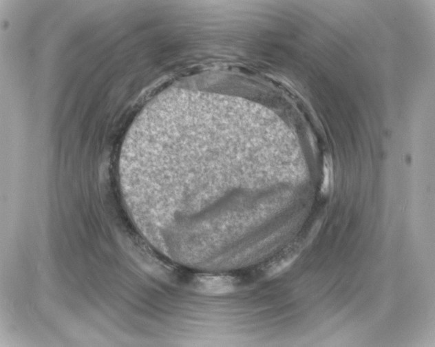 X0000085260221200704092123