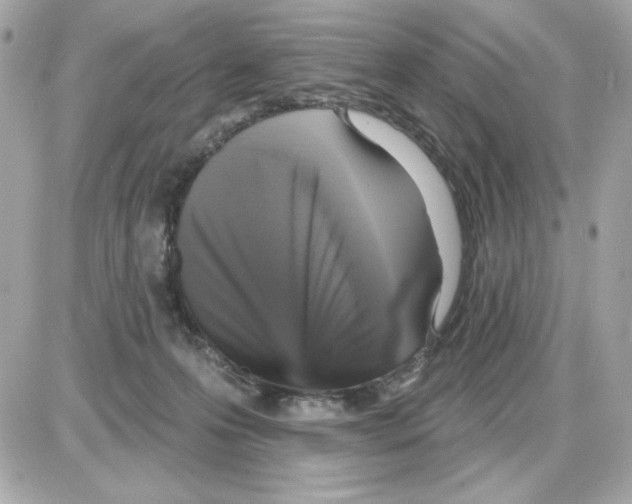 X0000085260223200704092123