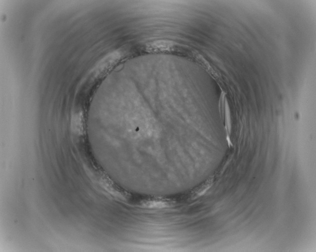 X0000085260224200704092123