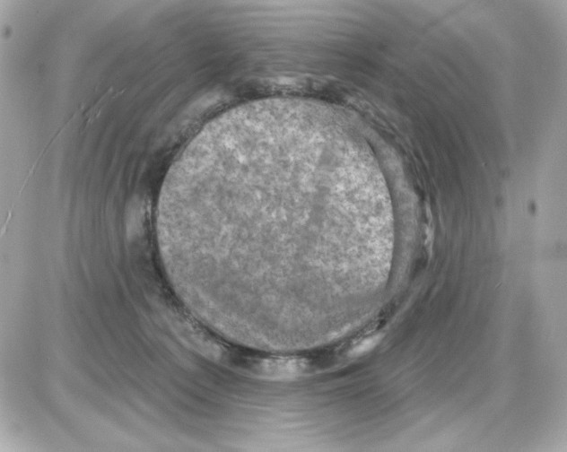 X0000085260225200704092123