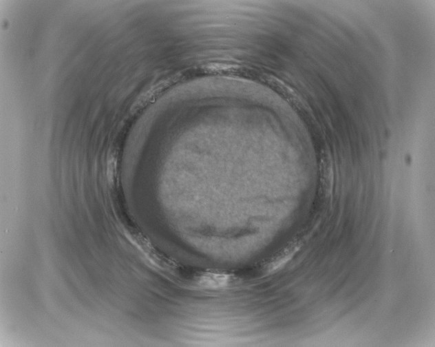 X0000085260227200704092122