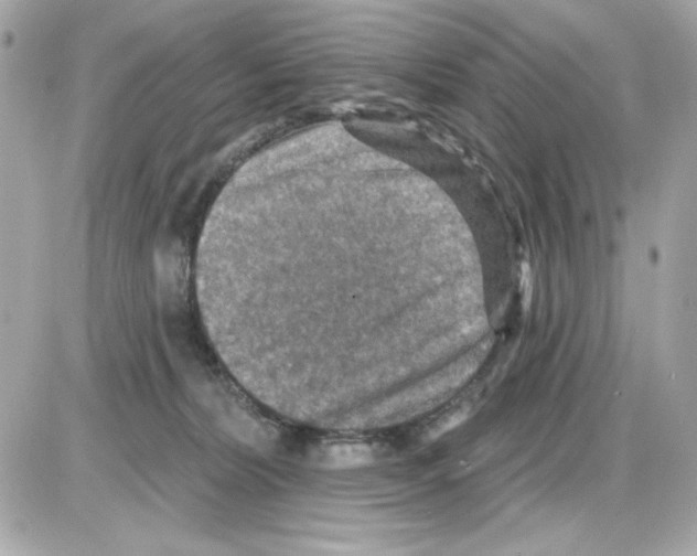 X0000085260228200704092122