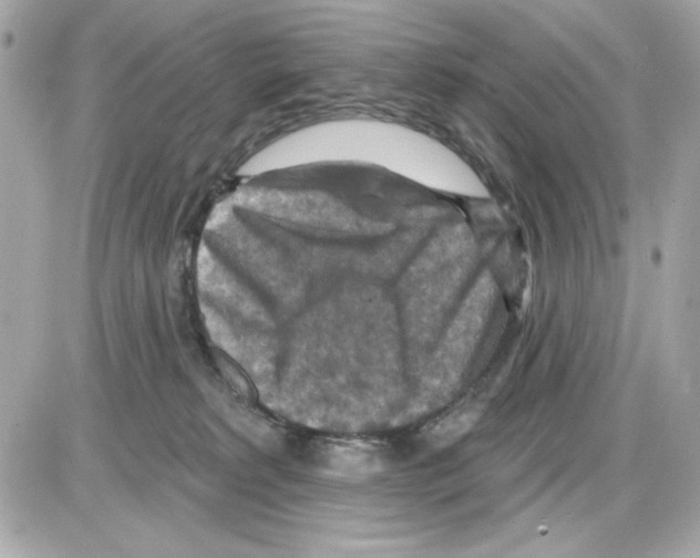 X0000085260229200704092122