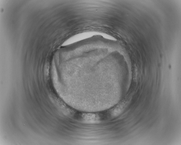 X0000085260230200704092122