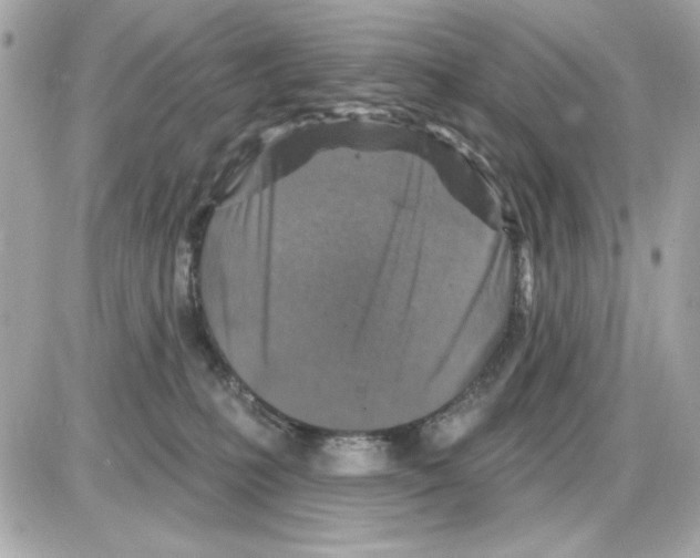 X0000085260231200704092122