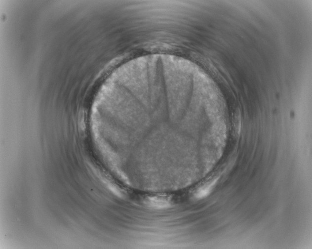 X0000085260232200704092122