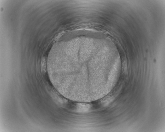 X0000085260234200704092122