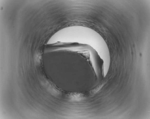 X0000085260235200704092122