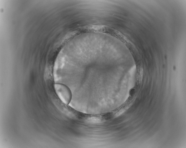 X0000085260236200704092122