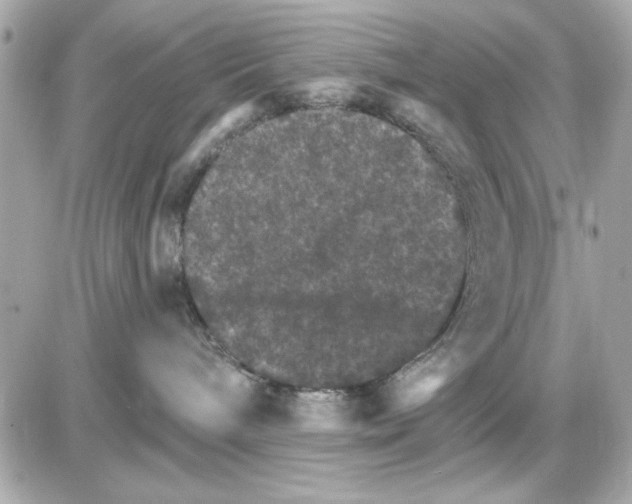 X0000085260240200704092122