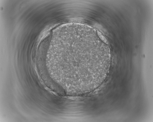 X0000085260241200704092121