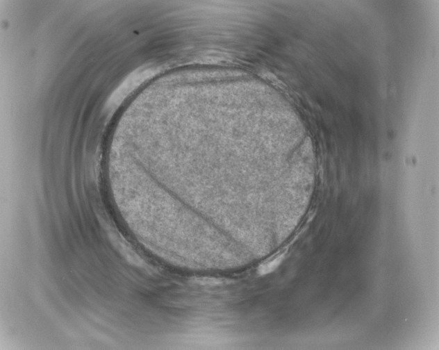 X0000085260242200704092121