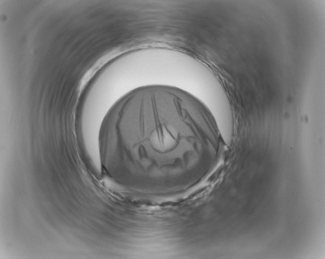 X0000085260244200704092122