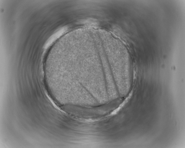 X0000085260245200704092122