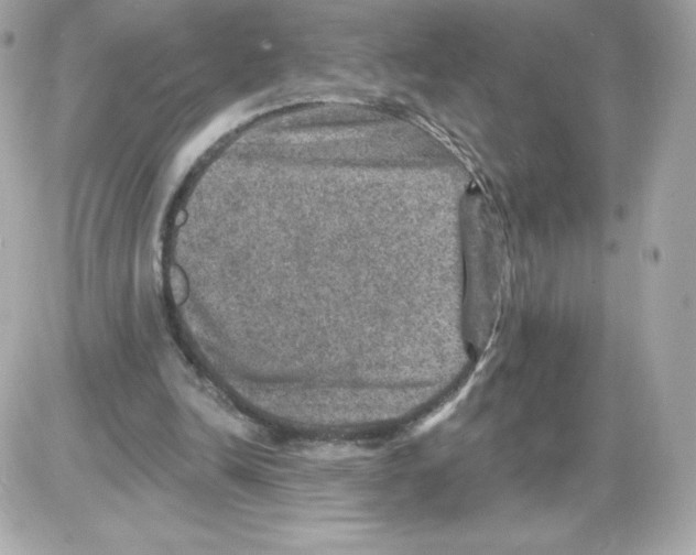 X0000085260246200704092122