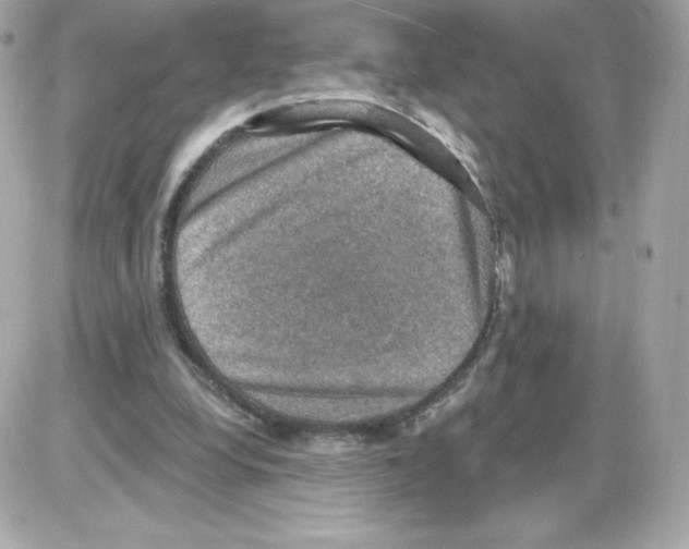 X0000085260248200704092122