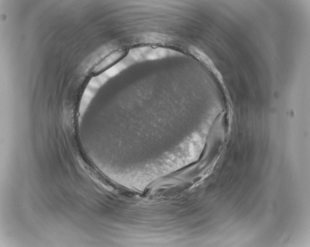 X0000085260249200704092122