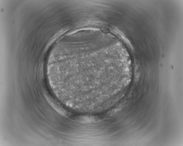 X0000085260250200704092122