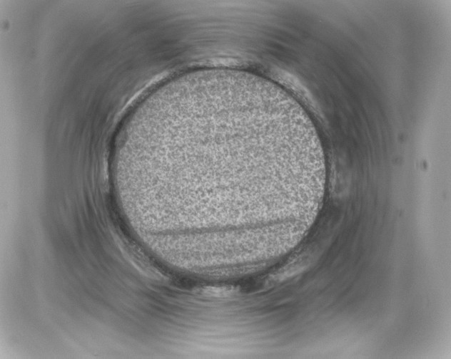 X0000085260251200704092122