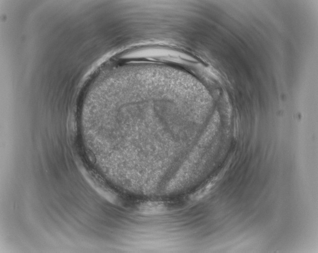 X0000085260252200704092122