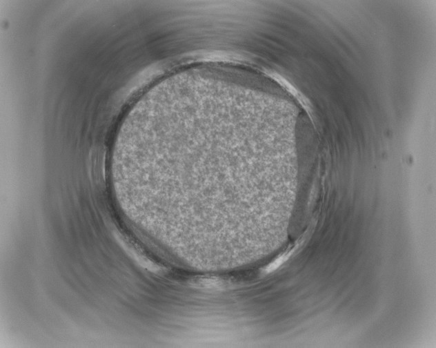 X0000085260253200704092122