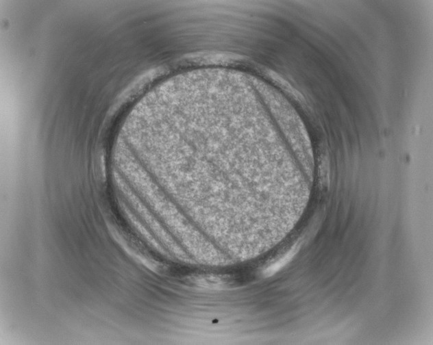 X0000085260254200704092122