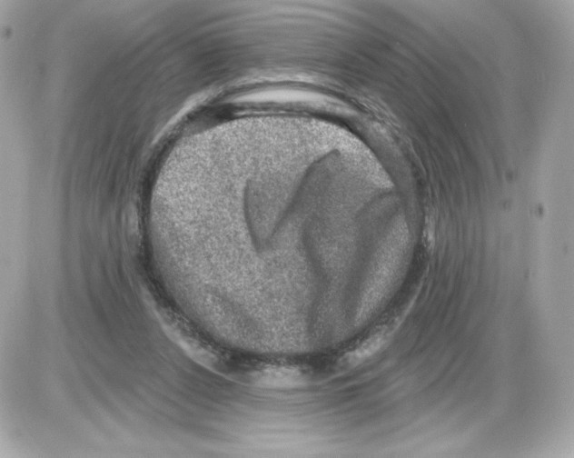 X0000085260256200704092122