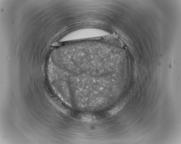 X0000085260258200704092122