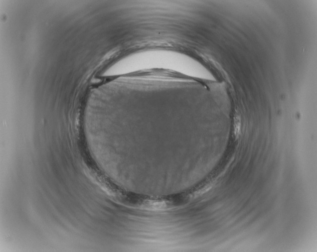 X0000085260260200704092122