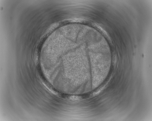 X0000085260261200704092122