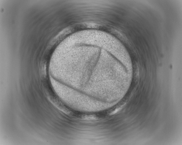 X0000085260262200704092122