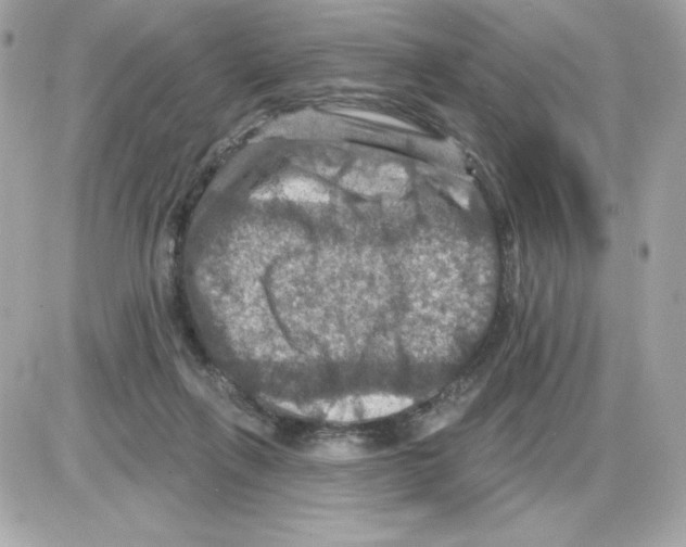 X0000085260263200704092122